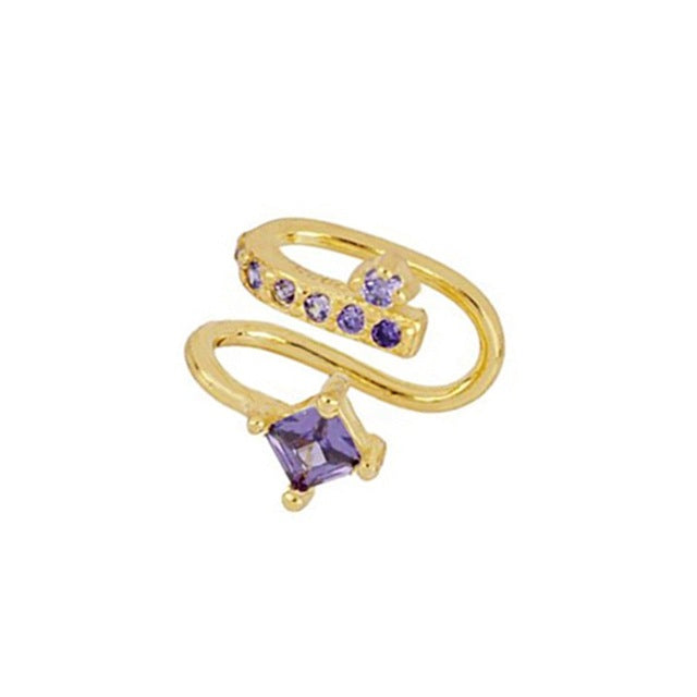 Sparkling Zirconia Earring