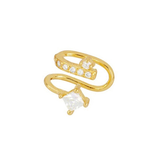Sparkling Zirconia Earring