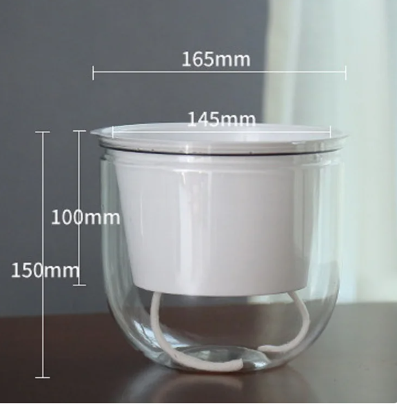 Self-Watering Hanging Flowerpot.