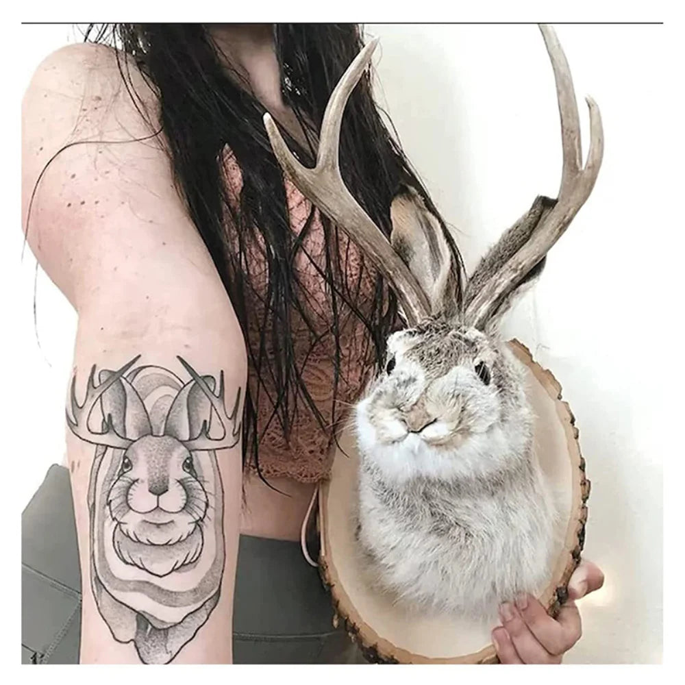 3D Rabbit Antler Wall Mount