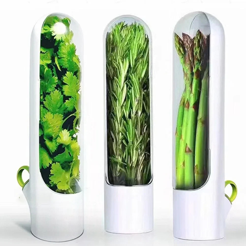 Fresh Herb Saver Keep Greens and Veggies Fresh