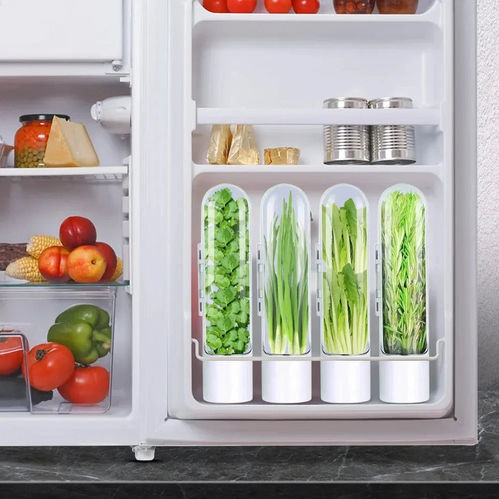 Fresh Herb Saver Keep Greens and Veggies Fresh