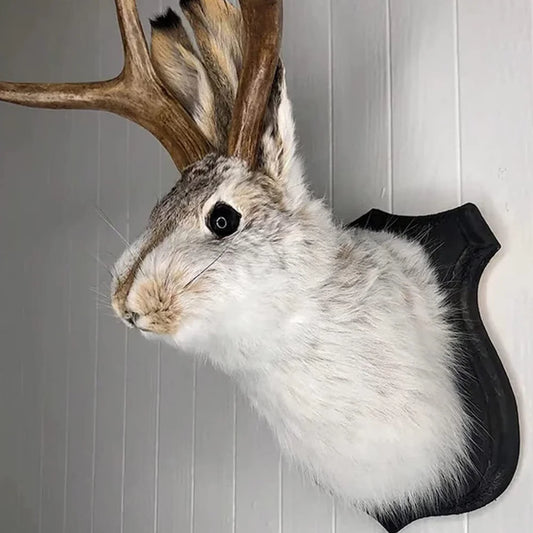 3D Rabbit Antler Wall Mount
